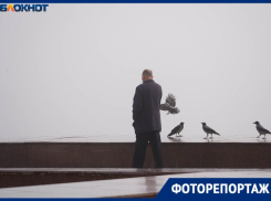 «Не видно ничего!»: пугающее явление накрыло Волгоград — и это не просто туман