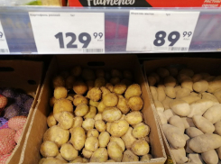 Картошка догоняет по цене бананы в Волгограде: пройден рубеж в 100 рублей за кило