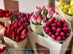 Тюльпаны по цене чашки кофе! Только один день!