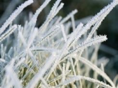 В Волгоградскую область возвращаются ночные заморозки