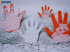 70% волгоградцев потребовало постоянный выходной на 31 декабря