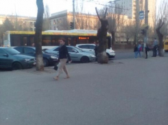 В центре Волгограда автобус «Питеравто» столкнулся с кроссовером