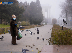 Последний день ноября принесет в Волгоград дождь и тепло до +12º
