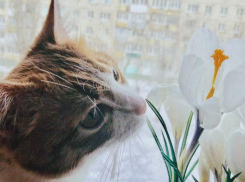 Первые морозы и порывистый ветер ждут волгоградцев на выходных: чиновники обещают подготовиться