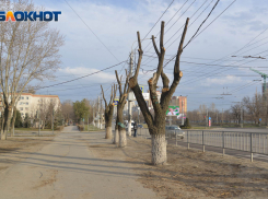 Волгограду разрешили перевести ВУЗы на дистант