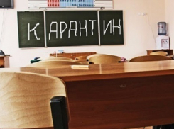 Карантину быть: из-за гриппа школьники Волгограда вернутся за парты лишь 16 января