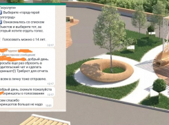 Учителей в Волгограде потребовали отчитаться в вирусном голосовании за благоустройство