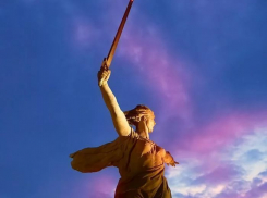 Эксперты ОНФ заинтересовались вырубкой деревьев на Мамаевом кургане