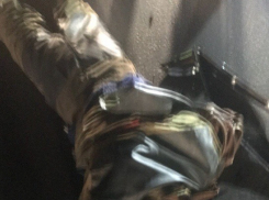 В Волгограде крутой внедорожник сбил двух человек и собаку