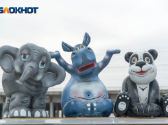 В Волгоград придет теплый ветреный четверг