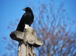 В Волгограде на Пасху закрыли дороги на кладбища для машин