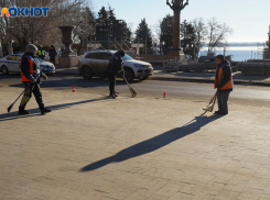 Волгоградцев попросили выбрать парк или улицу для преображения в 2024 году