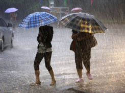 В Волгоградскую область пришли дожди, грозы и шквалистый ветер