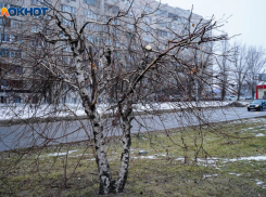 Стало известно, какая погода ждет волгоградцев в воскресенье 