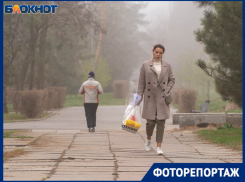 Смачные сморчки, блинчики с собой и счастливые собаки: что видно сквозь туман в Волгограде