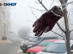 В Волгоградской области 19 ноября синоптики обещают мороз до -18º