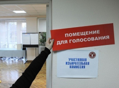 Эксперты требуют изучить видео со всех избирательных участков Волгограда 