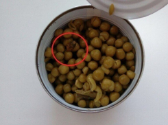 Огромного клопа обнаружил волгоградец в банке с зеленым горошком 