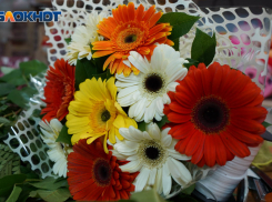 8 марта в Волгограде и области будет снежно и тепло