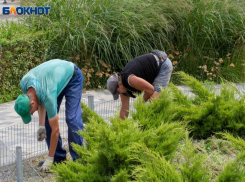 У большинства волгоградцев зарплата не достигает средних значений