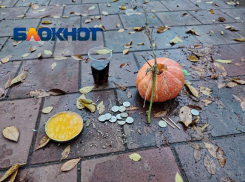 Страшное нашла волгоградка в горсаду после ночи 31 октября