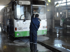 «Питеравто» выиграла контракт на автобусные перевозки в Волгограде 