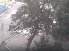 Копошащиеся в горах мусора в волгоградском дворе дети попали на видео 