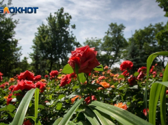 Гроза с жарой до +30°C настигнут жителей Волгограда и области