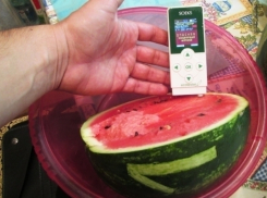 Волгоградцев кормят опасными арбузами с нитратами