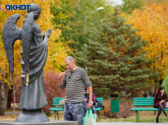 Листопадная пора прошла экватор: фоторепортаж золотой осени Волгограда 2021 года