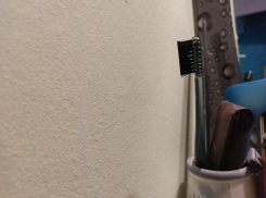 Волгоградские стоматологи могут зарабатывать от 150 тысяч в месяц