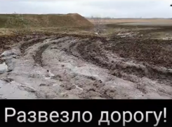 Километр непролазной грязи отрезал от цивилизации приют с сотнями собак под Волгоградом
