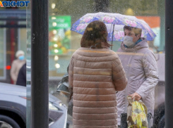 В  Волгограде установят 25 новых остановок-стекляшек за 25 млн рублей 