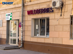 Глобальный сбой Wildberries затронул волгоградцев 14 сентября