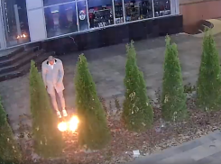Поджигатели туй на самокате в центре Волгограда попали на видео