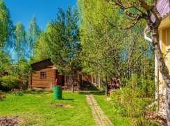 В регионе из-за долгов за электроэнергию банкротство ожидает тридцать СНТ: кто виноват и что делать дачникам