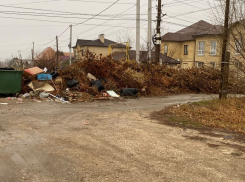 «Ситиматик» отправил чиновников убирать свалку в Волгограде