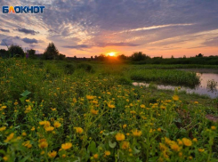Как ретроградный Меркурий повлияет на волгоградцев: астролог