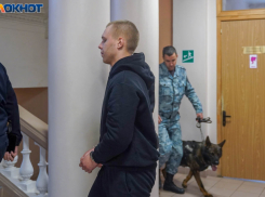 Верховный суд РФ оставил без изменения срок Никите Журавелю