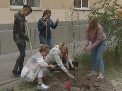 Новый парк появится у консерватории в Волгограде 