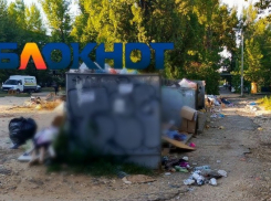 «Здесь дохлые голуби и крысы размером с лошадь!»: гранд-свалку возле детсада требуют убрать в Волгограде