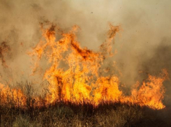 В Волгоградской области из-за неосторожности сгорели стога сена