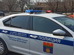 На видео сняли, как полицейские призывают волгоградцев разойтись по домам