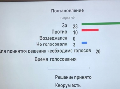 Депутаты Волгоградской облдумы проголосовали за введение QR-кодов в России