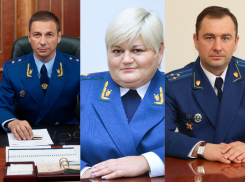 Стало известно имя самого богатого прокурора Волгоградской области 