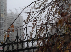 Дождь и туман задержатся в Волгограде до понедельника