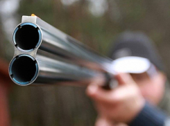 Три убитых косули обошлись волгоградцу в 200 тысяч рублей 