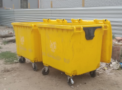 Волгоградка два месяца одна выгребала мусор из рощи, где гадят отдыхающие