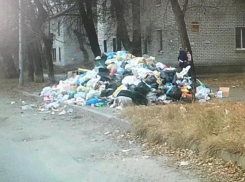 Блогер опубликовал фото утопающего в мусоре города-героя Волгограда