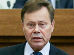Голосовать за такую «реформу» было бы преступлением, - волгоградский депутат